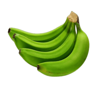Banana bunch – unripe