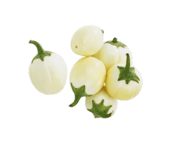 Garden egg (white)